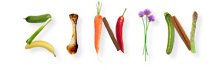 ZinIn logo